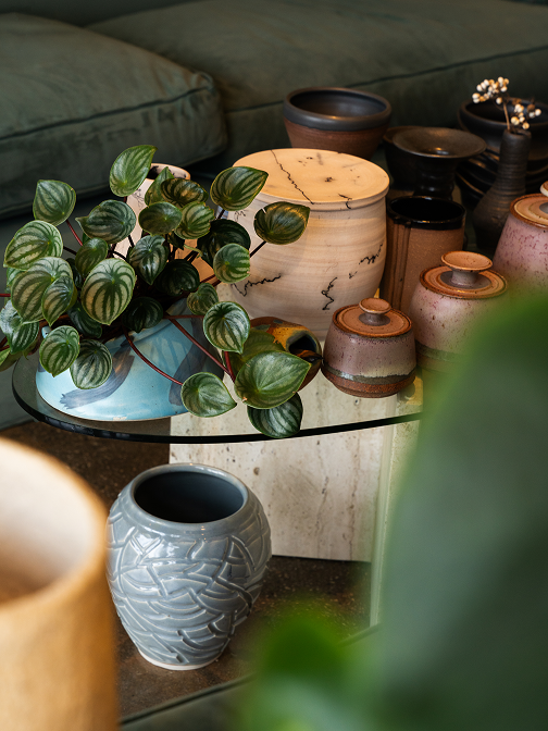 Beautiful potted plants